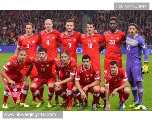 黑山国家足球队历届知名球星盘点与现役主力阵容全方位解析